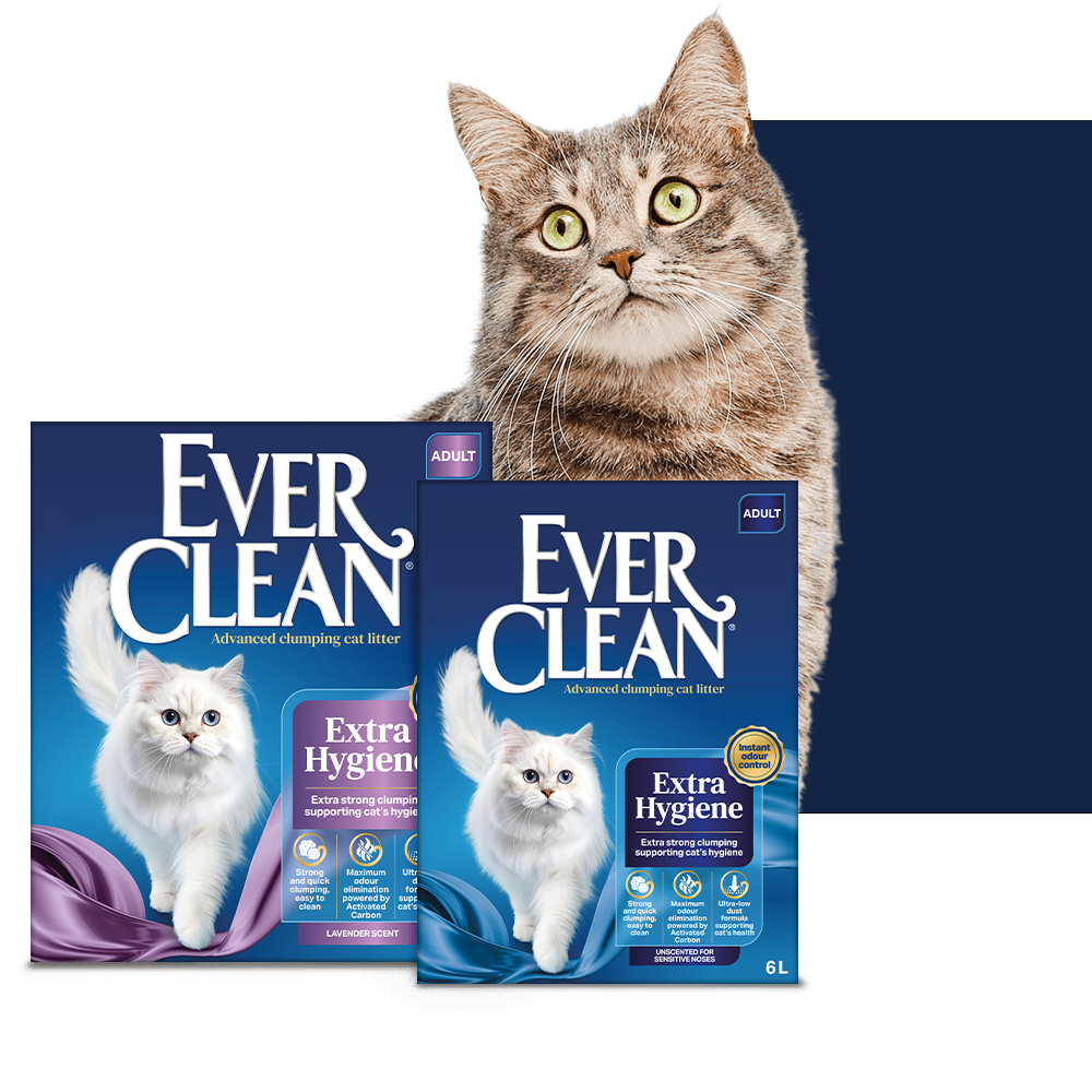 Ever Clean